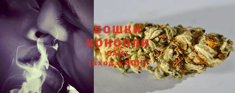 мориарти Telegram  Волжск  Канабис White Widow 